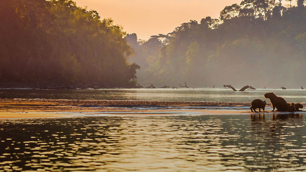 MANU NATIONAL PARK TOURS - Peru Traces
