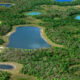 brasil_el_pantanal 80x80
